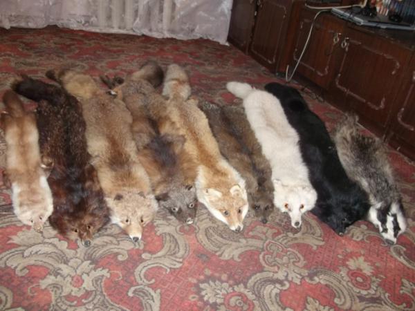 Название: Изображение 009.jpg
Просмотров: 2905
Размер: 43.5 Кб