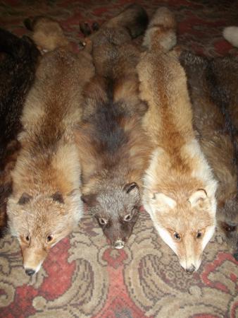 Название: Изображение 010.jpg
Просмотров: 1657
Размер: 28.5 Кб