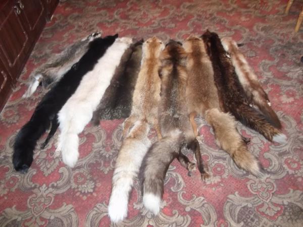 Название: Изображение 013.jpg
Просмотров: 1624
Размер: 45.1 Кб