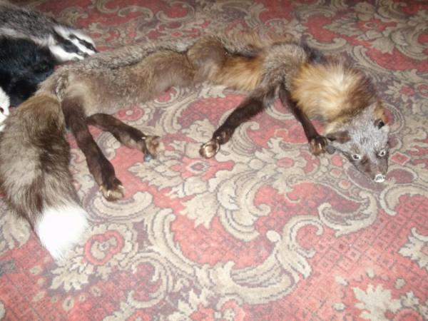 Название: Изображение 016.jpg
Просмотров: 1657
Размер: 47.3 Кб