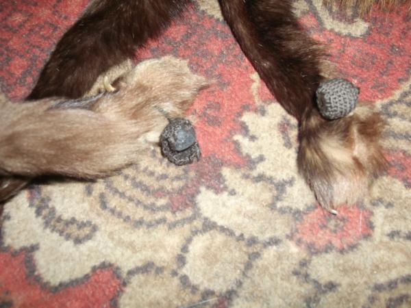 Название: Изображение 018.jpg
Просмотров: 1435
Размер: 46.1 Кб