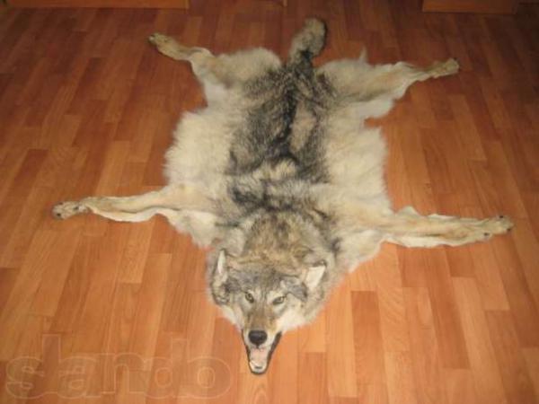 Название: 69957447_3_644x461_shkura-volka-volk-dikiy-prochie-tovary-dlya-doma.jpg
Просмотров: 1630
Размер: 27.2 Кб