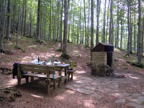 Название: DSCN8101.jpg
Просмотров: 14341
Размер: 74.4 Кб