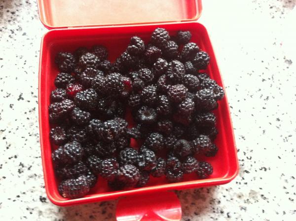 Название: image.jpg
Просмотров: 1538
Размер: 48.5 Кб