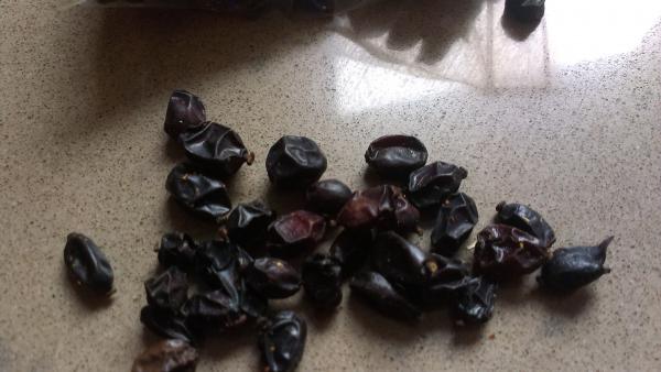 Название: IMAG1990.jpg
Просмотров: 14208
Размер: 32.6 Кб