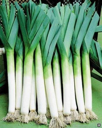 Название: post-13760-1288109630.jpg
Просмотров: 1353
Размер: 35.9 Кб