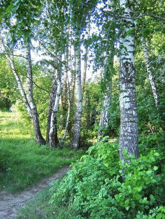 Название: DSC03014.jpg
Просмотров: 811
Размер: 59.0 Кб