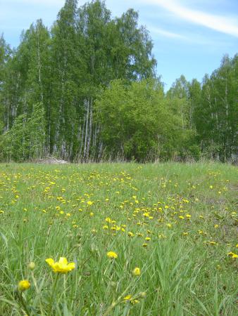 Название: п (1426).jpg
Просмотров: 805
Размер: 38.4 Кб