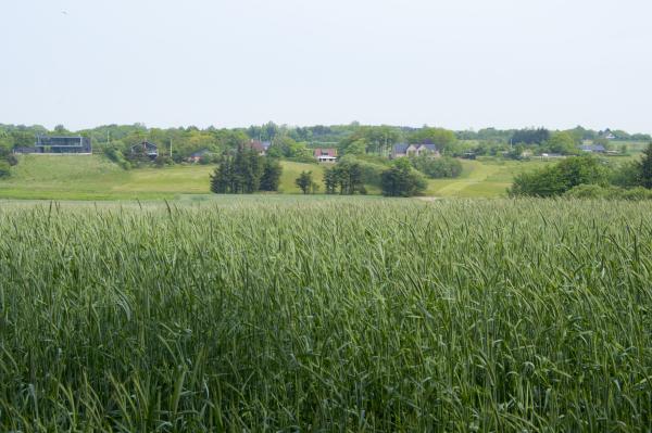 Название: DSC_0301.jpg
Просмотров: 687
Размер: 45.8 Кб