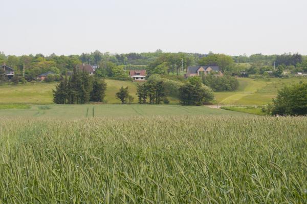 Название: DSC_0304.jpg
Просмотров: 647
Размер: 42.7 Кб