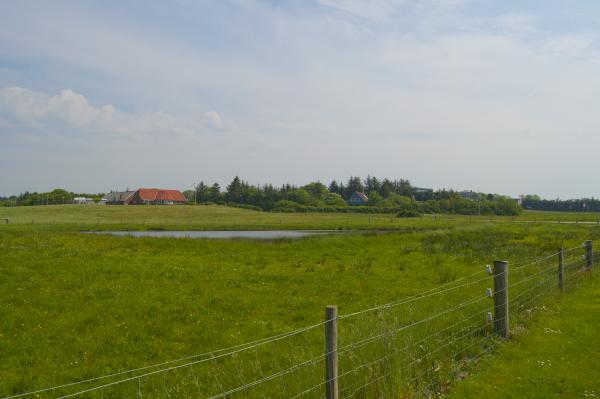 Название: DSC_0367.jpg
Просмотров: 680
Размер: 26.5 Кб