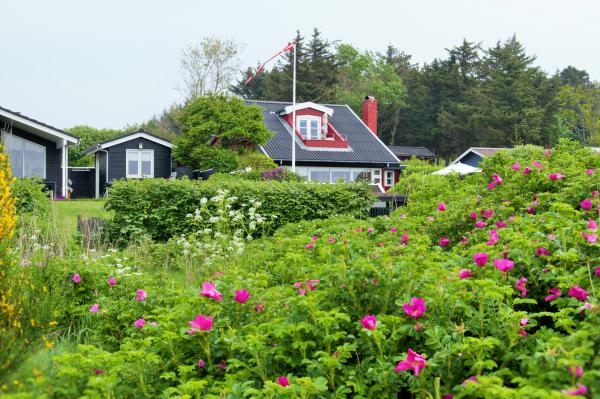 Название: DSC_0241.jpg
Просмотров: 628
Размер: 63.6 Кб