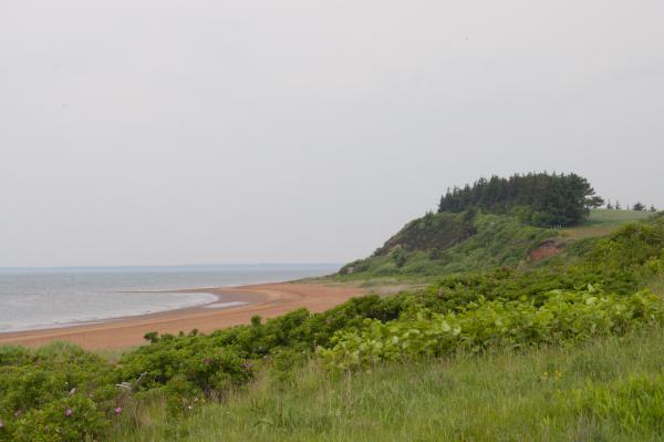 Название: DSC_0244.jpg
Просмотров: 658
Размер: 24.9 Кб