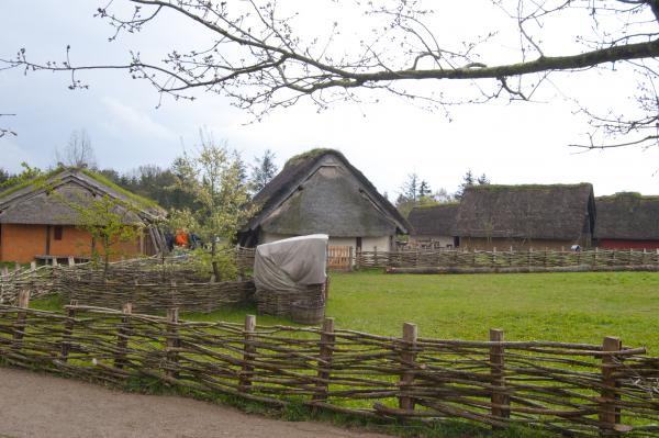 Название: DSC_5512.jpg
Просмотров: 732
Размер: 48.7 Кб