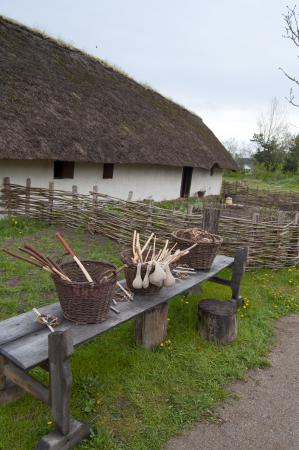 Название: DSC_5580.jpg
Просмотров: 618
Размер: 26.4 Кб