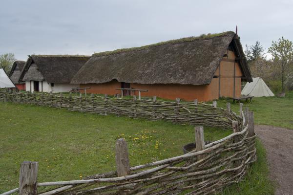 Название: DSC_5581.jpg
Просмотров: 687
Размер: 39.6 Кб