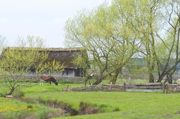 Название: DSC_5590.jpg
Просмотров: 598
Размер: 52.6 Кб