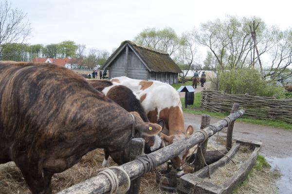 Название: DSC_5627.jpg
Просмотров: 708
Размер: 47.4 Кб