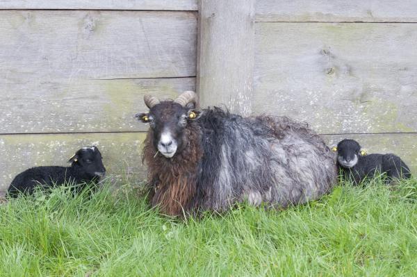 Название: DSC_5689.jpg
Просмотров: 675
Размер: 49.9 Кб