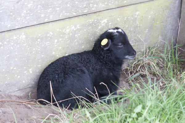 Название: DSC_5690.jpg
Просмотров: 625
Размер: 46.3 Кб