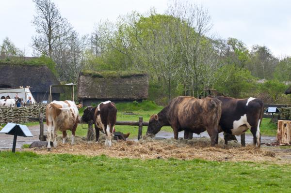 Название: DSC_5421.jpg
Просмотров: 636
Размер: 50.1 Кб