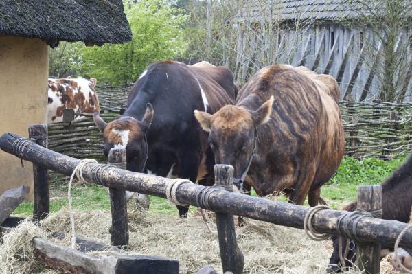 Название: DSC_5427.jpg
Просмотров: 733
Размер: 62.4 Кб