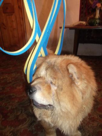 Название: рецепты 124.jpg
Просмотров: 914
Размер: 22.4 Кб