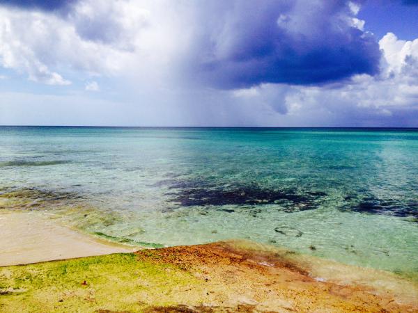 Название: image.jpg
Просмотров: 941
Размер: 45.7 Кб