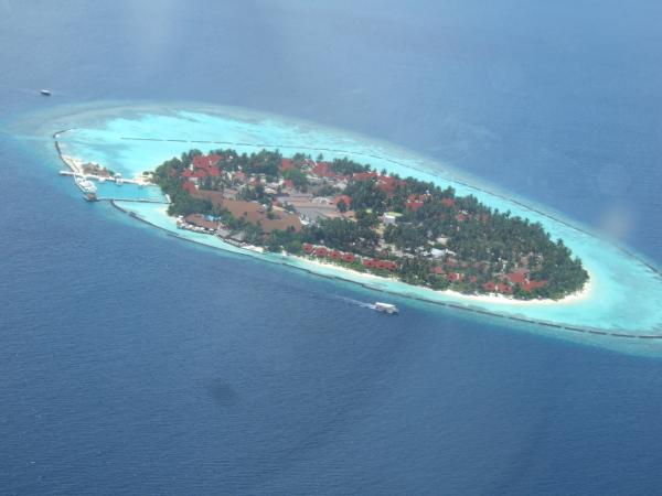 Название: 1.jpg
Просмотров: 949
Размер: 28.1 Кб