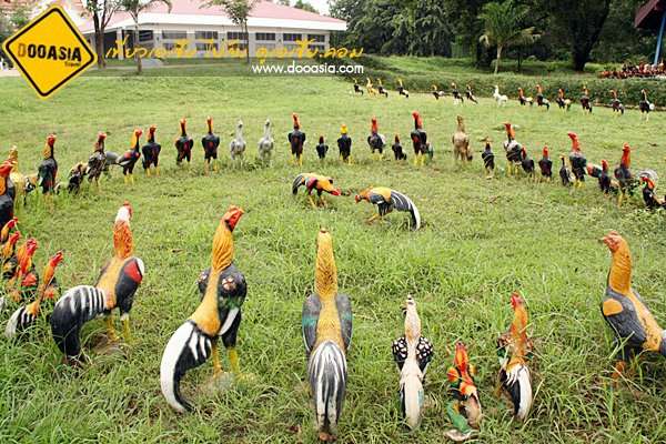 Название: 78257181_2_644x461_kury-boytsovye-fotografii.jpg
Просмотров: 3145
Размер: 61.1 Кб