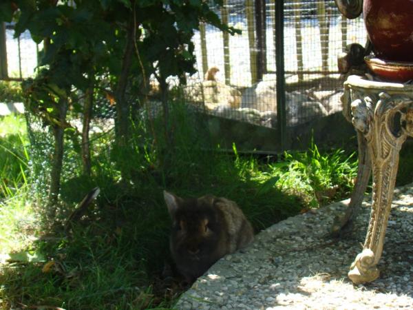 Название: DSC01801.jpg
Просмотров: 1269
Размер: 54.9 Кб