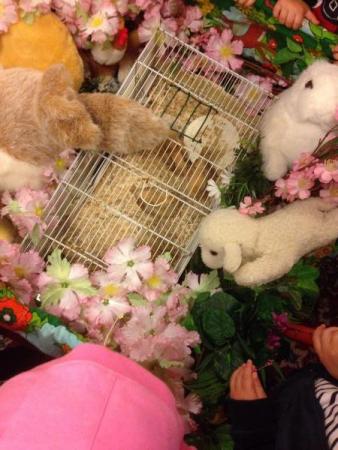 Название: 5.jpg
Просмотров: 612
Размер: 32.0 Кб