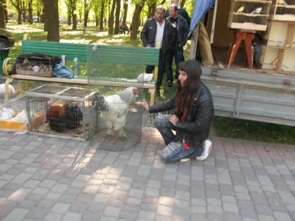 Название: Изображение 096.jpg
Просмотров: 768

Размер: 44.5 Кб