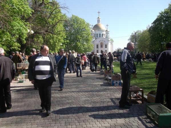 Название: Изображение 134.jpg
Просмотров: 758

Размер: 51.4 Кб