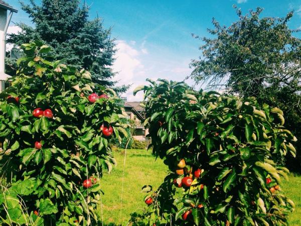 Название: IMG_3021.jpg
Просмотров: 818
Размер: 83.6 Кб