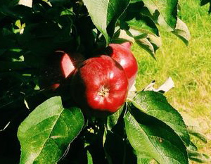 Название: IMG_3023.JPG
Просмотров: 740
Размер: 62.0 Кб