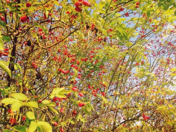 Название: IMG_3027.jpg
Просмотров: 802
Размер: 96.3 Кб