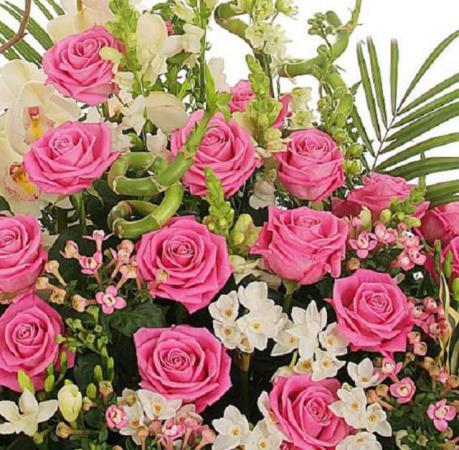 Название: afinka q.jpg
Просмотров: 1003
Размер: 56.5 Кб