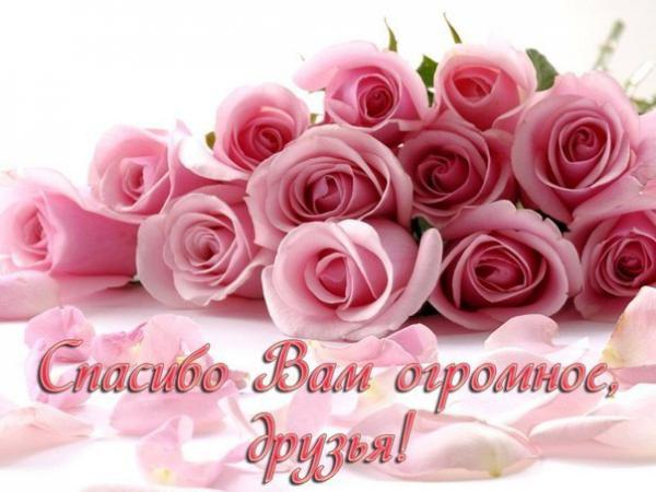Название: 1IV-_J9RE-I.jpg
Просмотров: 574

Размер: 39.4 Кб