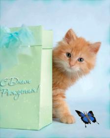 Название: 986487348.jpg
Просмотров: 575

Размер: 7.5 Кб