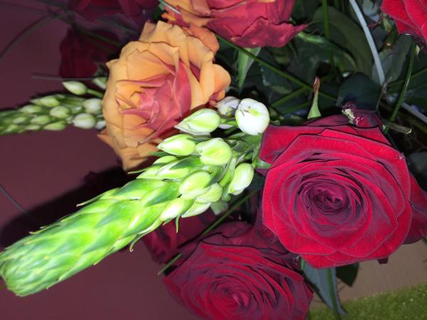 Название: image.jpg
Просмотров: 891
Размер: 39.4 Кб