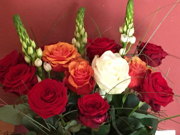 Название: image.jpg
Просмотров: 558

Размер: 38.9 Кб