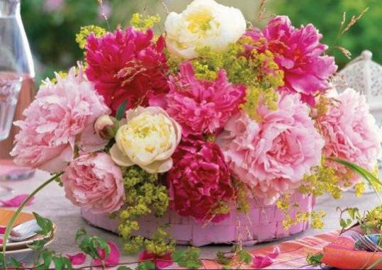 Название: i-199.jpg
Просмотров: 801
Размер: 44.4 Кб