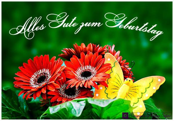 Название: Alles-Gute.jpg
Просмотров: 523

Размер: 53.1 Кб
