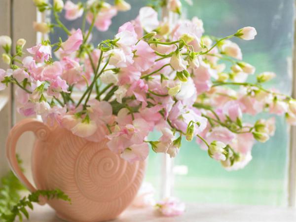 Название: ваза с цветами.jpg
Просмотров: 885
Размер: 36.1 Кб