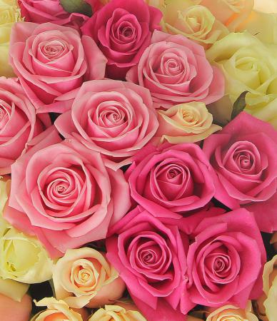 Название: 87e0dbea0ae7b25cf2e441e26302ce8f.jpg
Просмотров: 698
Размер: 39.9 Кб