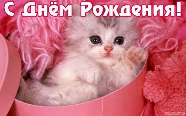 Название: kitty.jpg
Просмотров: 269

Размер: 35.6 Кб