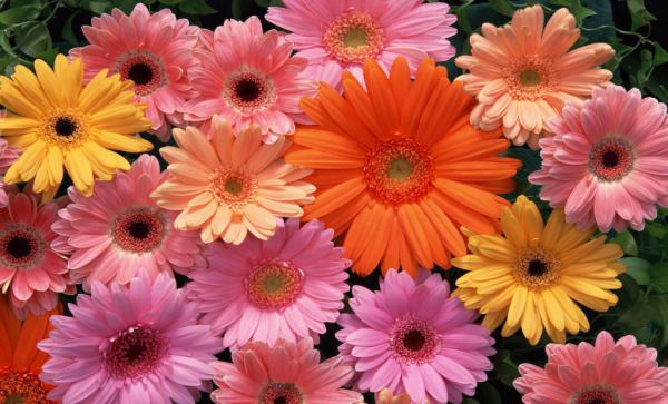 Название: 201111171643178852-1024x619.jpg
Просмотров: 916
Размер: 48.1 Кб