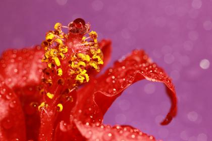 Название: image.jpg
Просмотров: 1368
Размер: 16.6 Кб