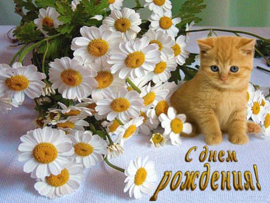 Название: ДР.jpg
Просмотров: 696

Размер: 51.9 Кб